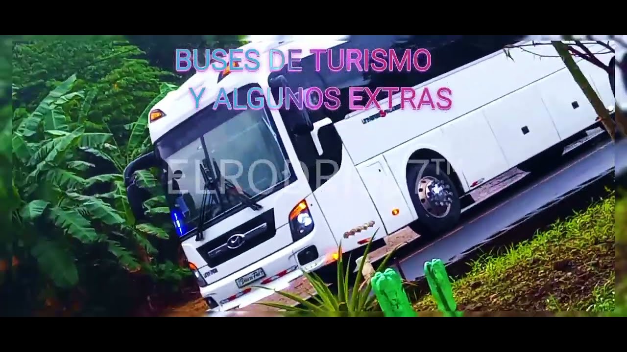 BUSES DE TURISMO Y ALGUNOS EXTRA (RECOMENDADO)🔥