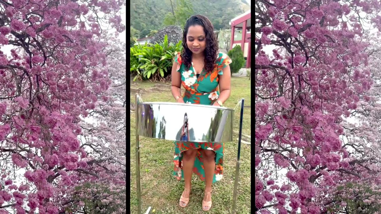 CeCe Winans - Goodness of God Steelpan Cover by Samantha Elliot