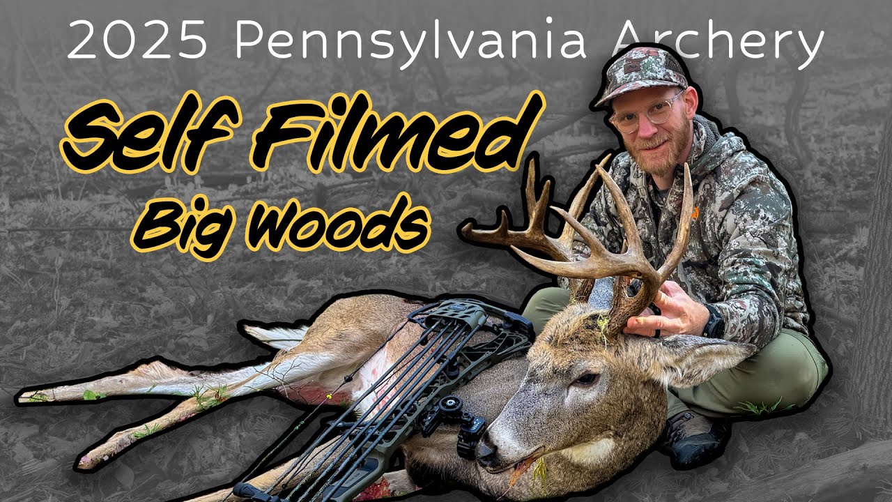 Solo Pennsylvania Hunt | Big Woods 11 Point Buck Down