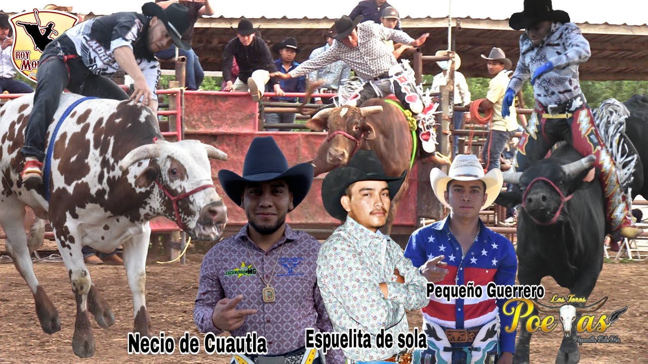 !!Se llevaron La Tarde Estos Jinetazos¡¡Los Toros Poetas de Meño Vasquez en Pixley CA.2021