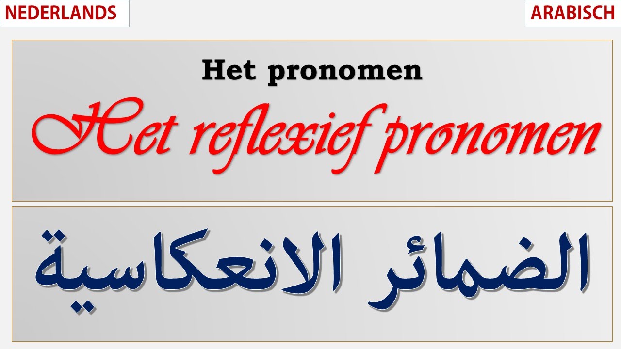 Het reflexief pronomen   تعليم اللغة الهولندية: الضمائر الانعكاسية