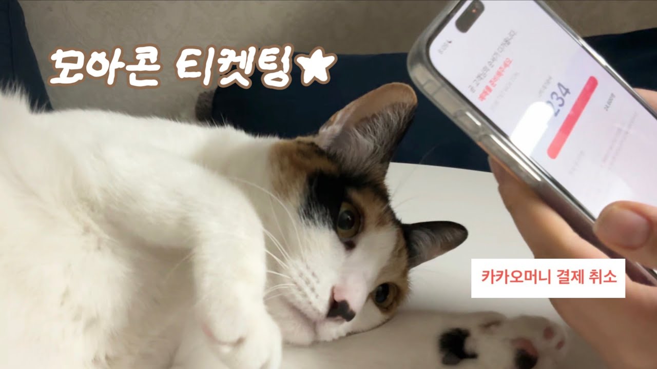 [모아로그] 모아콘 티켓팅&hellip; 일반예매 이야기 - 희망편 &bull; 티켓팅 브이로그 &bull; 투바투 티켓팅 &bull; 모아콘 &bull; 인터파크 티켓팅 #02
