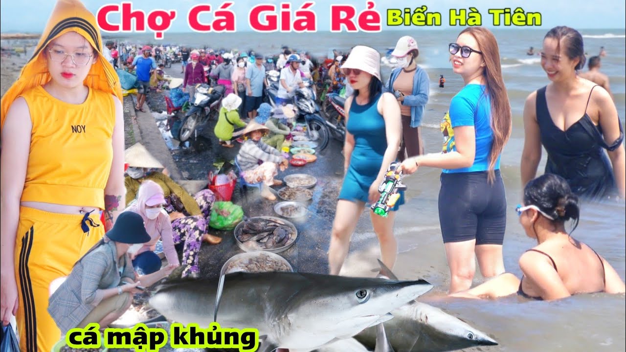 Gặp Cá Mập khủng chợ hải sản tươi sống lớn nhất Bãi Tắm Hà Tiên Kiên Giang