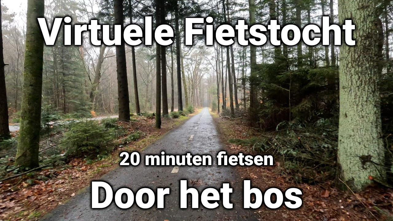 Rustgevende Fietstocht Door Regenachtig Bos | Virtuele Hometrainer Ride [4K]