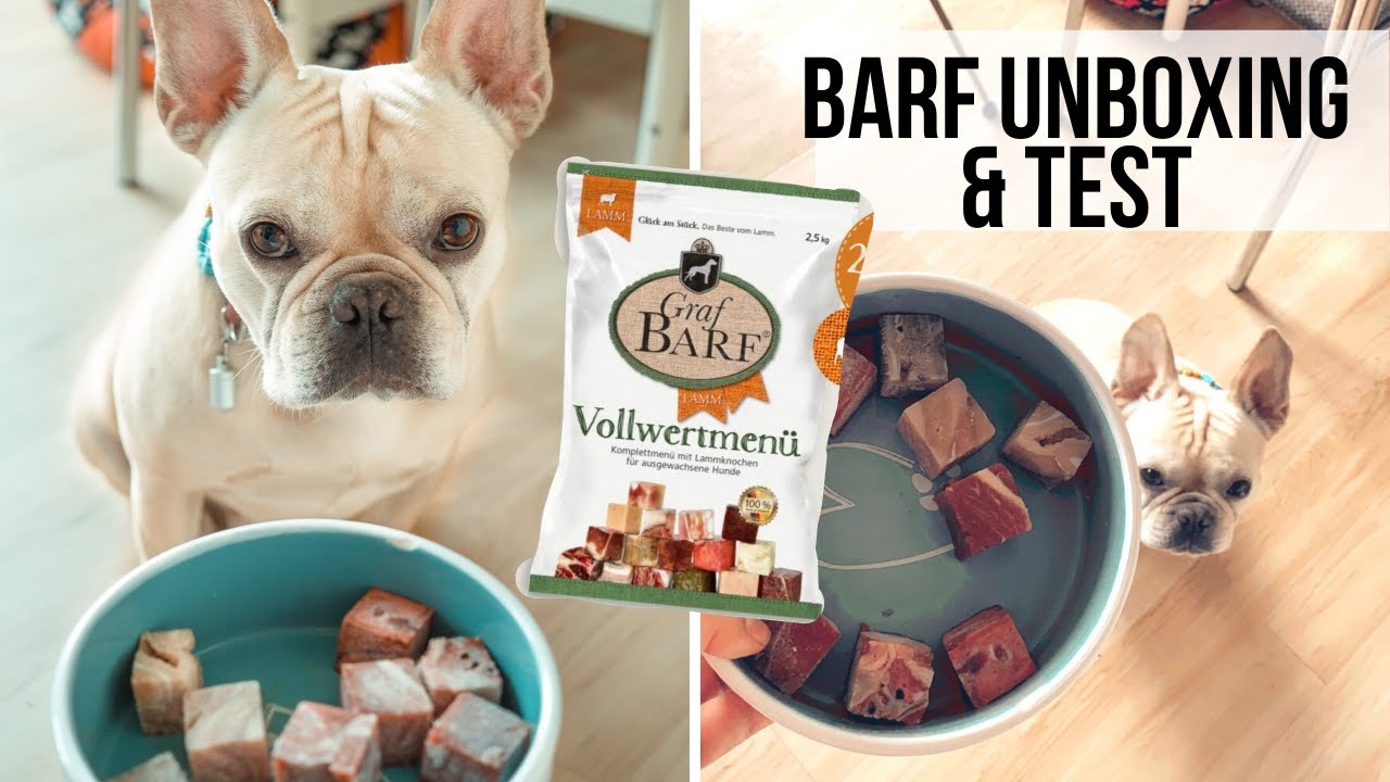 BARF UNBOXING 📦  So geht Barf | Graf Barf erster Test 🍗