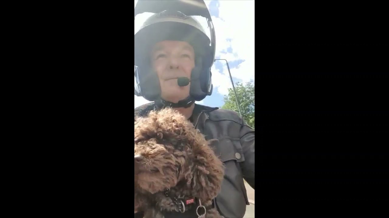 Dolly's first ride #dog #biker #bikerdog #poode