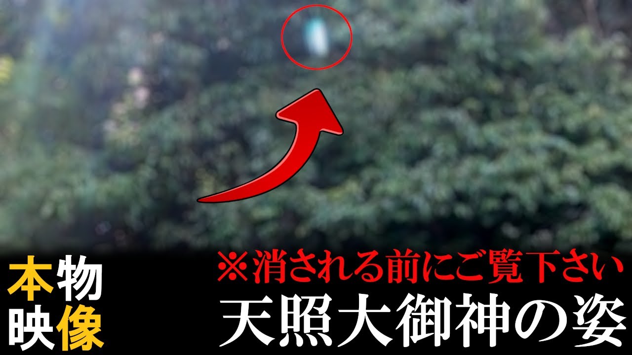 ⚠️神回※もし逃したら二度とありません※アマテラス様が降臨しました｜等彌神社遠隔参拝195