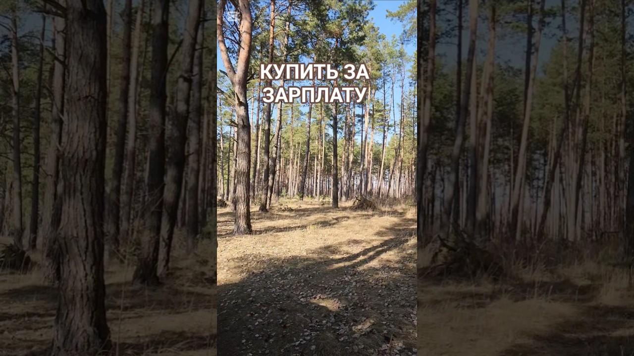 Кто в СССР мог купить ЭЛЕКТРОН Ц282Д за ОДНУ зарплату?    #timecapsule