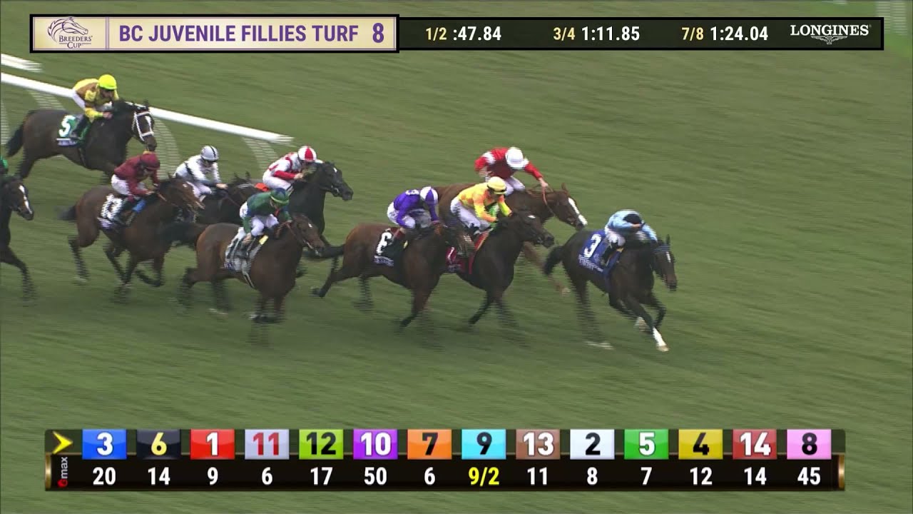 Pizza Bianca wins Breeders' Cup Juvenile Fillies Turf (Gr.I) race 8 at Del Mar 11/5/21