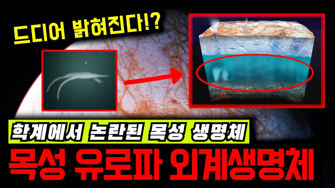 목성의 외계생명체?! 드디어 밝혀집니다. [미스터리]