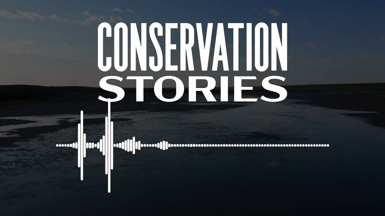 From Cotton Fields to Conservation: The Life and Legacy of Jane Dever