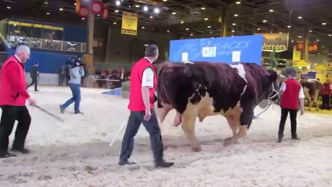 Salon de l'Agriculture 2015