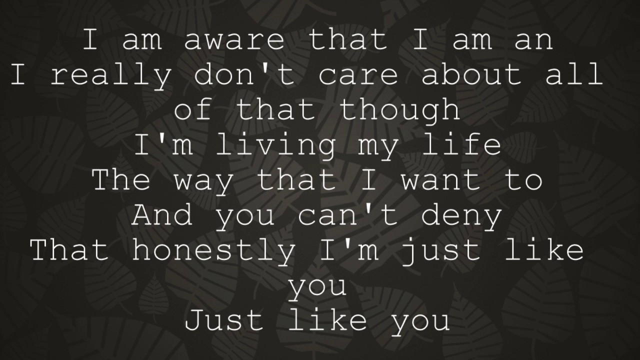 Just Like You -Falling In Reverse (clean lyrics)
