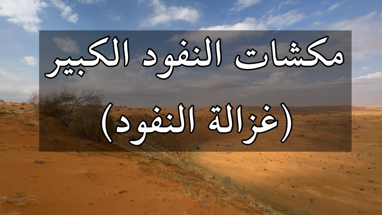 مكشات النفود الكبير ( غزالة النفود )