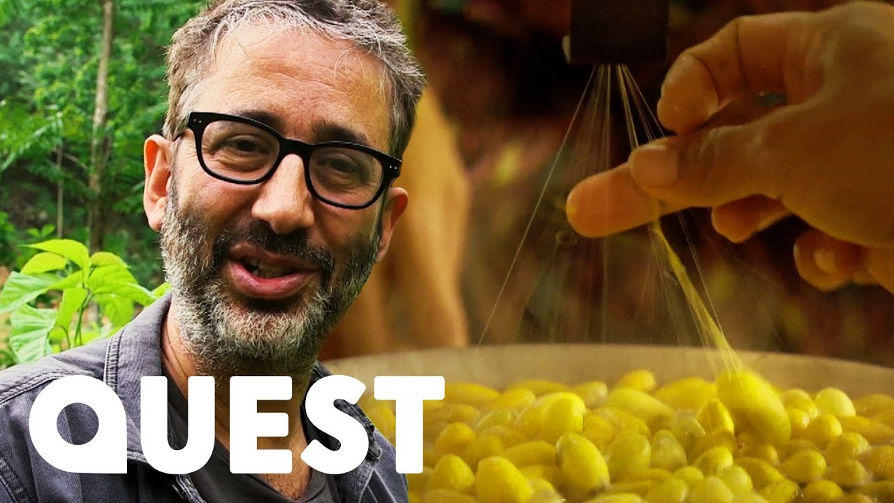 David Baddiel Learns The Secret Of How Silk Is Made | David Baddiel: On The Silk Road