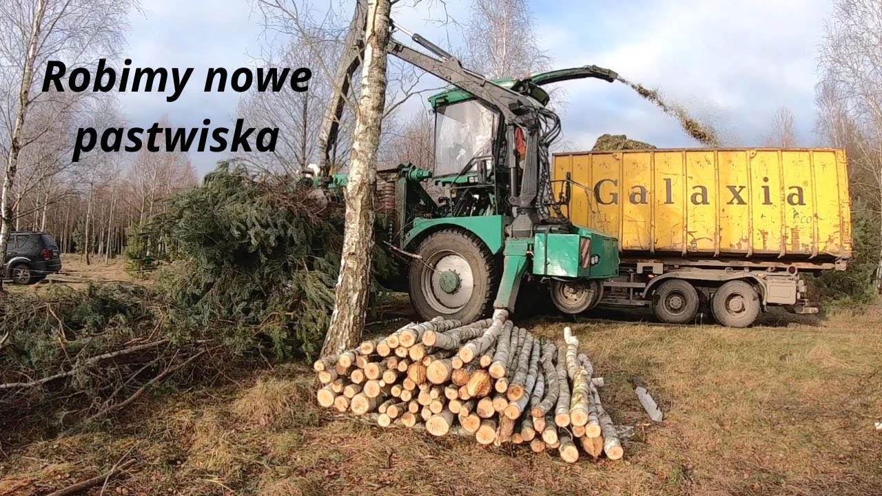 Biomasa drzewna jako surowiec dla energetyki