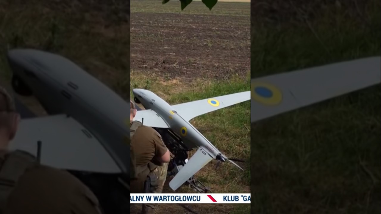 Twarde negocjacje z Kijowem w sprawie myśliwc&oacute;w MiG-29