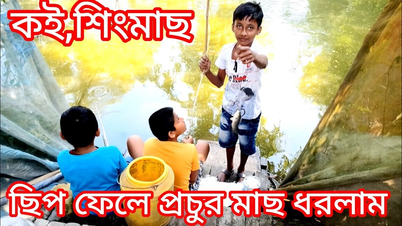 Village Fishing(ছিপ দিয়ে প্রচুর মাছ ধরলাম পুকুর থেকে)Pond Caching Fish #fish #fishing , #seafood