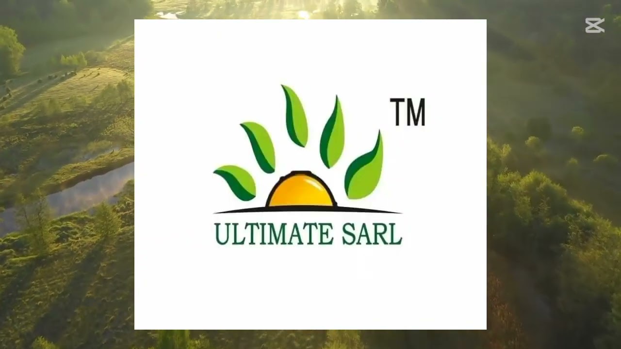 Spara - Le Championnat Bamendou de Yaoundé (Officiel)