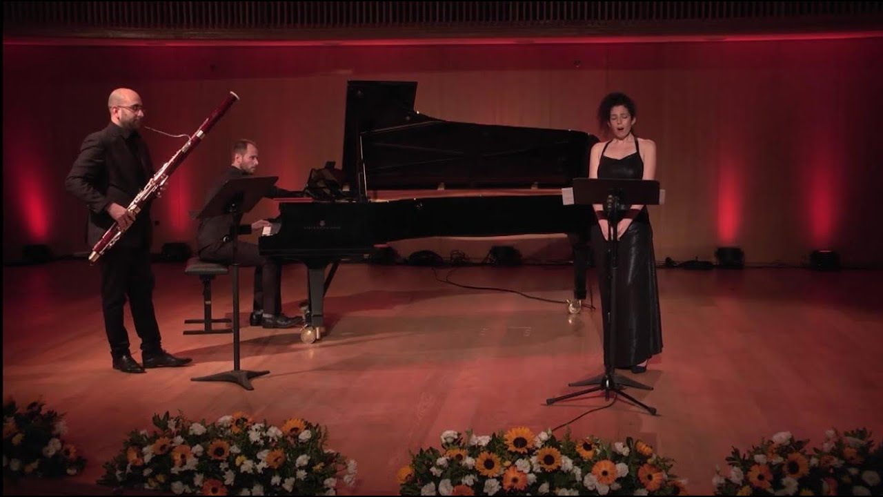 Orr Avni Variations on Letters / Merav Eldan & Meitar Ensemble