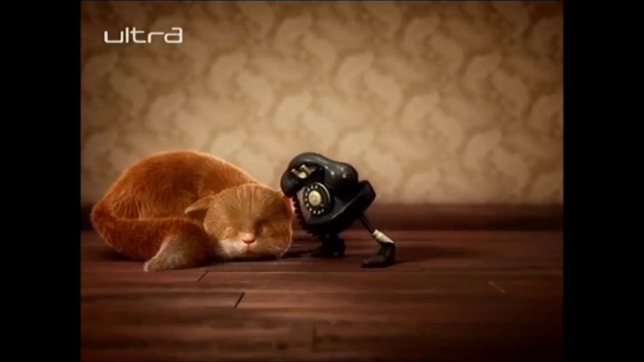 Macka i telefon Ultra dzingl 2015