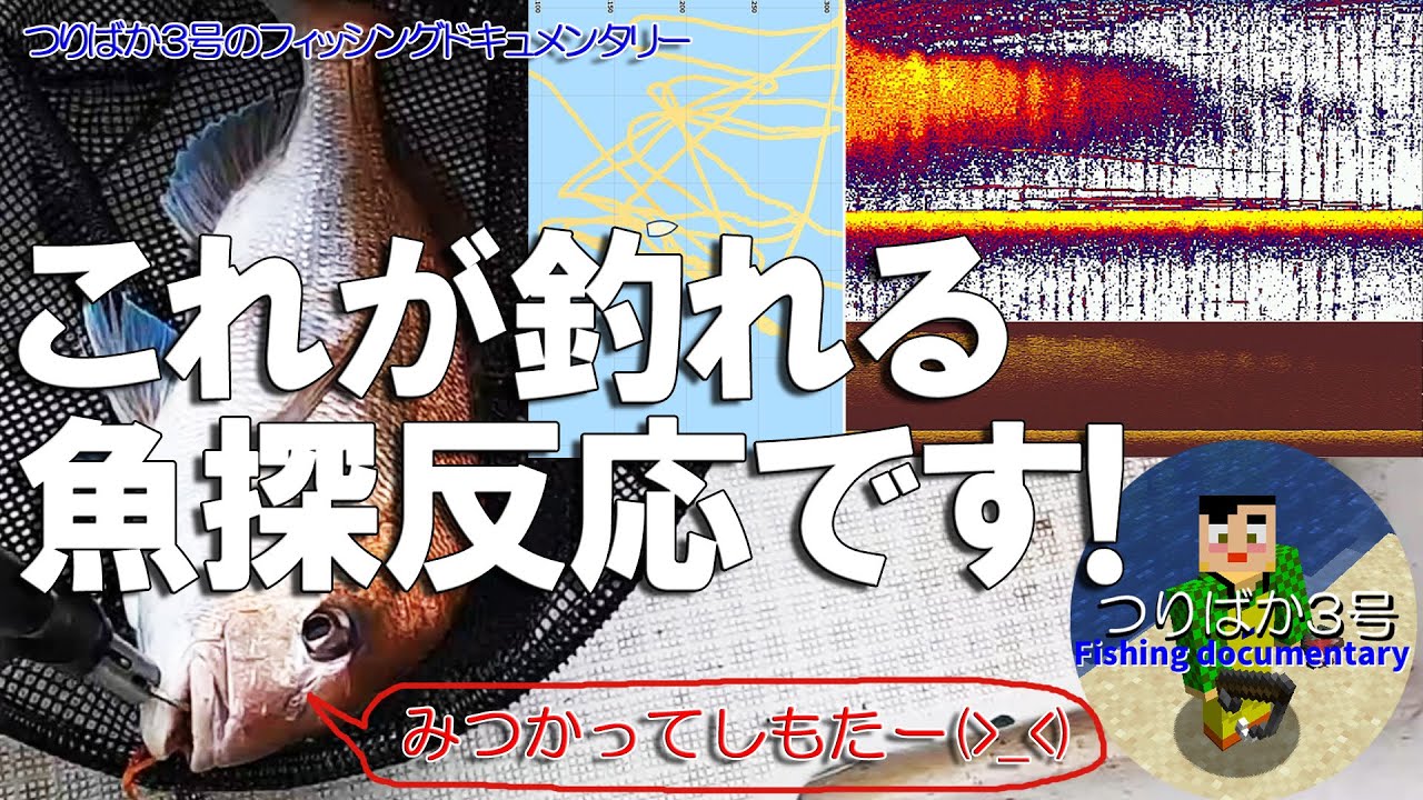 #198【高松沖タイラバ】これが鯛釣れる魚探反応です！