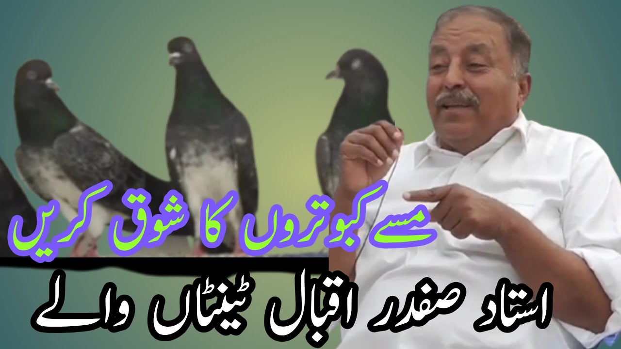 Ustad Dilawar Khan wale kabootar | Hiralal kabootar
