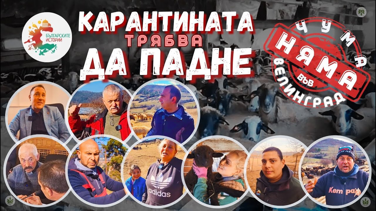 Чума по овцете във Велинград няма.Министър Тахов и БАБХ трябва да пуснат животните да пасат свободно