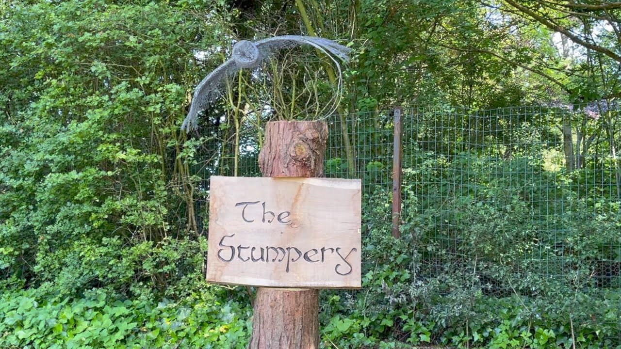 Let's Visit A Stumpery (a valuable home for wildlife)