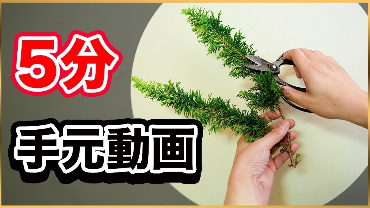 【手さばき】5分でわかる華道家ならではの生け方！