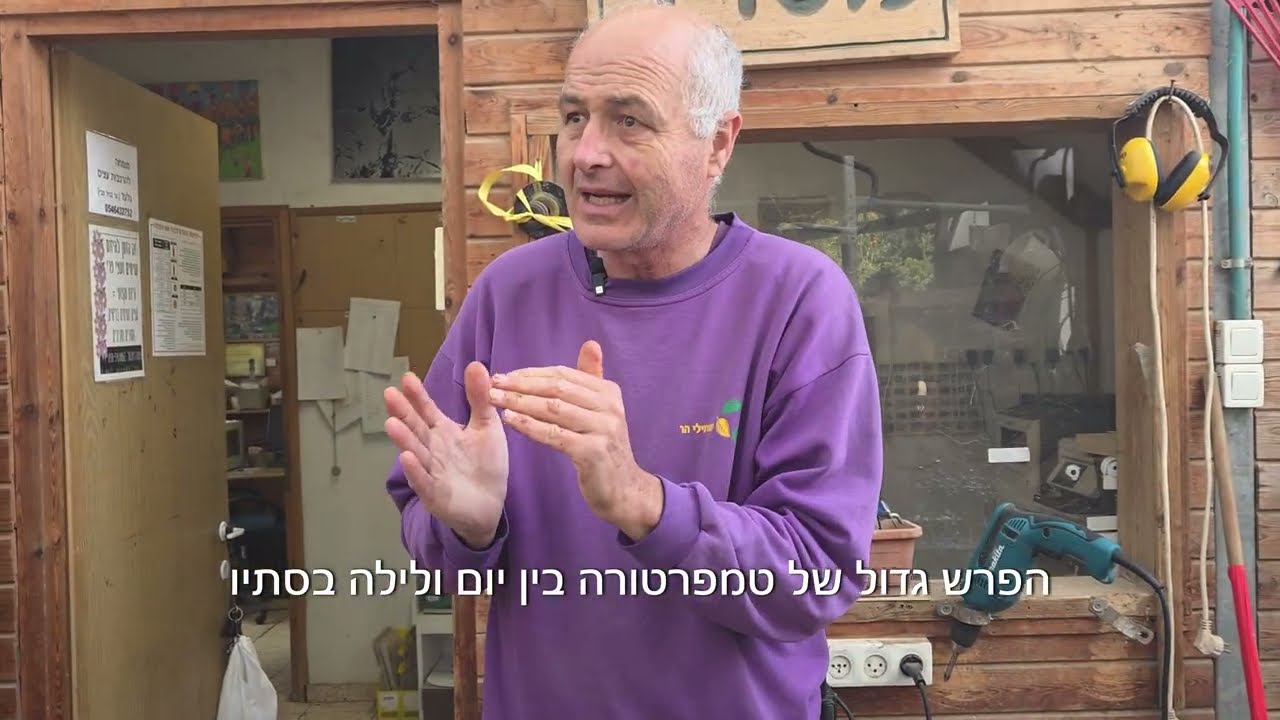 איך לשתול צימבידיום בהצלחה