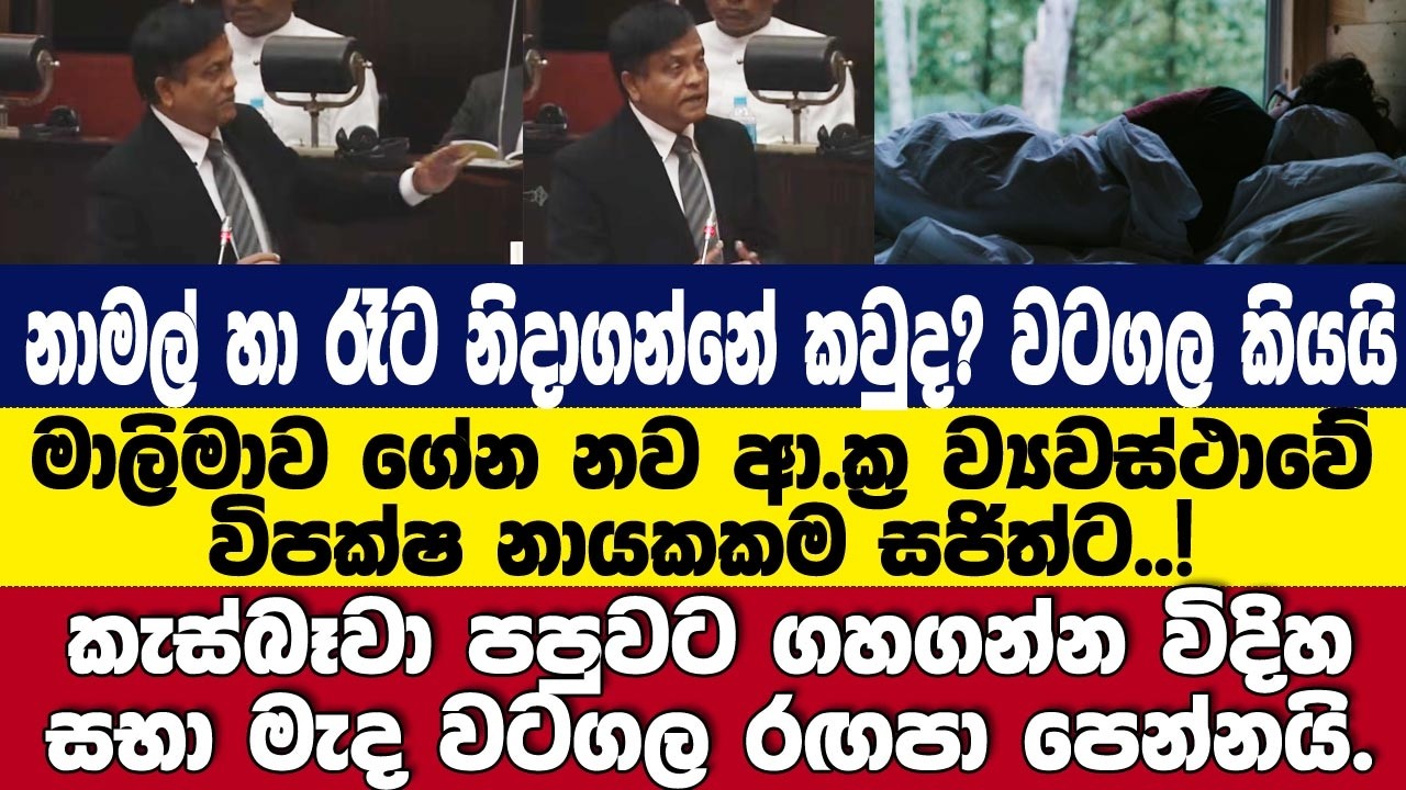 මාලිමා නව ආ.ක්‍ර ව්‍යවස්ථාවේ විපක්ෂ නායකකම සජිත්ට! නාමල් හා රෑට නිදාගන්නා කෙනා? වටගල කියයි.