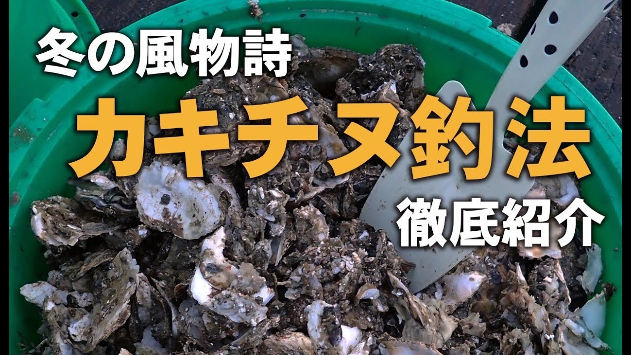 カキチヌ釣法を紹介！介绍牡蛎钓法 How to Fish Bream with Oysters