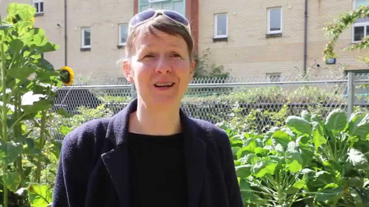 Partick Community Growing Project