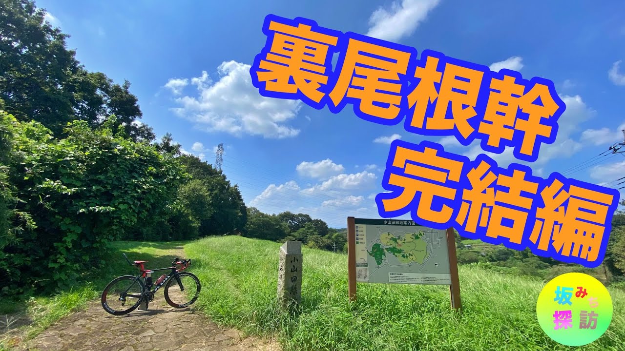 【坂#42】裏尾根幹 後編〜坂みち探訪