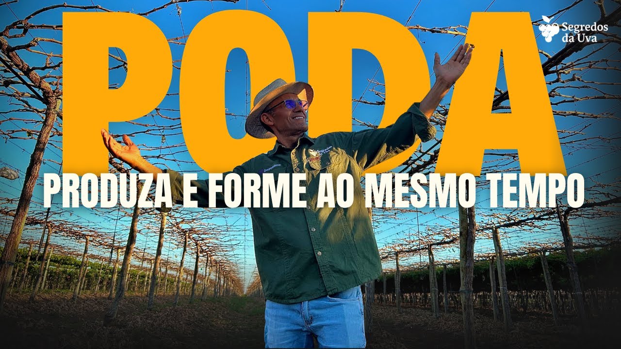 PODA MISTA DA UVA | Como Fazer Poda de Produção e Formação Ao Mesmo Tempo