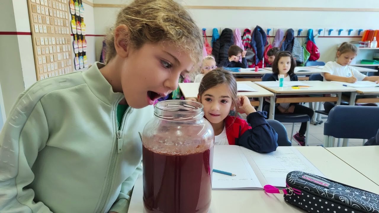 La nostra vendemmia! classi 2^ A e 2^ B Primaria