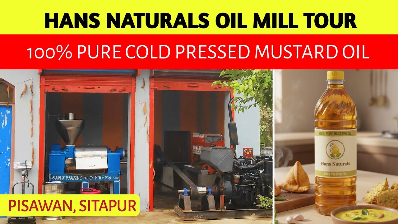 Hans Naturals Oil Mill Factory Tour | Cold Pressed Mustard Oil | Cold press oil mill 10 hp 