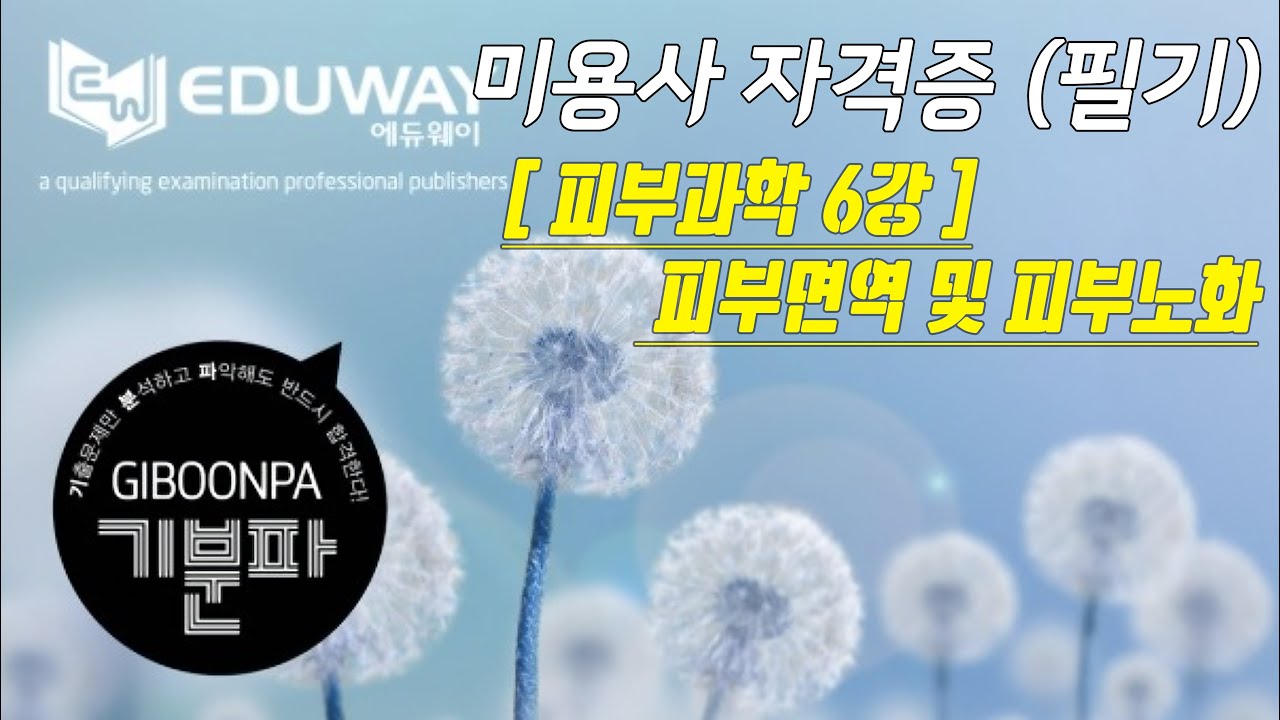 에듀웨이 기분파 헤어미용 필기 자격증 22강 (피부와 광선, 피부면역 및 피부노화) [피부과학 6강]