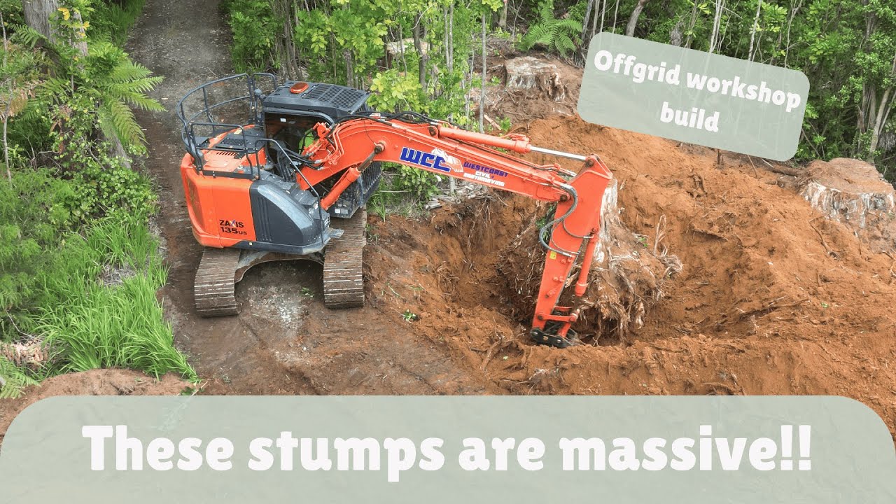Removing massive tree stumps! Breaking ground for the new off-grid shed!
