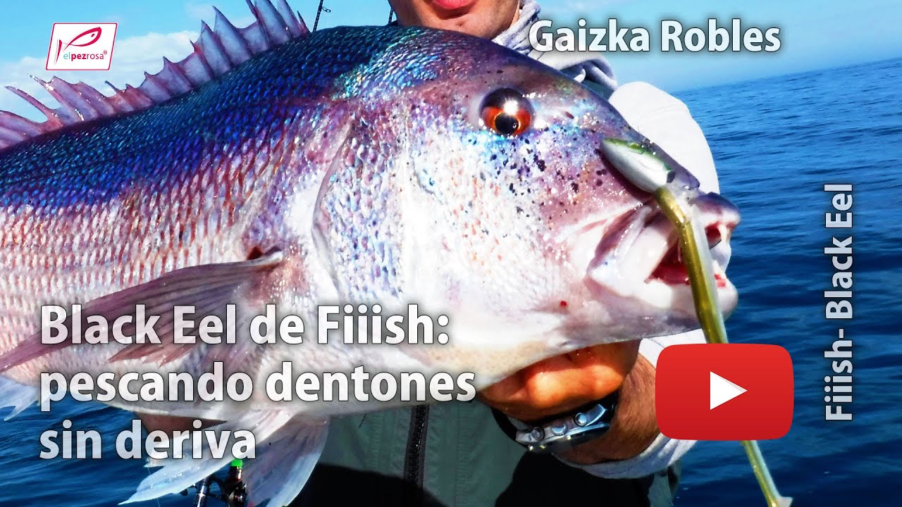 Black Eel de Fiiish: pescando dentones sin deriva