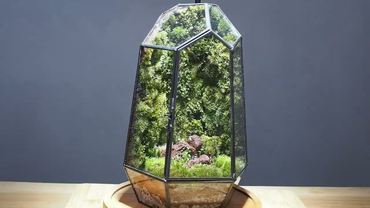 如何打造几何花房,苔藓玻璃盆景-簡易DIY新手入門