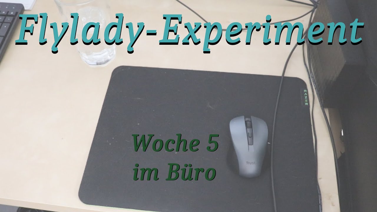 Ich teste die Flylady-Methode! 🪣🧽🧼🧹| Das Büro (Zonen-Putz)