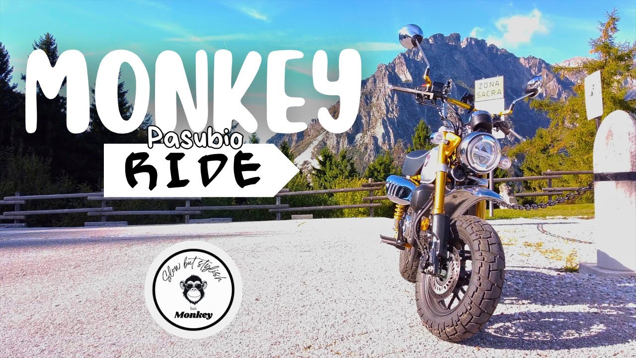 Honda Monkey 125 | Whispers of Mt Pasubio | A Cinematic Ride through Italy’s Sacred Mountain