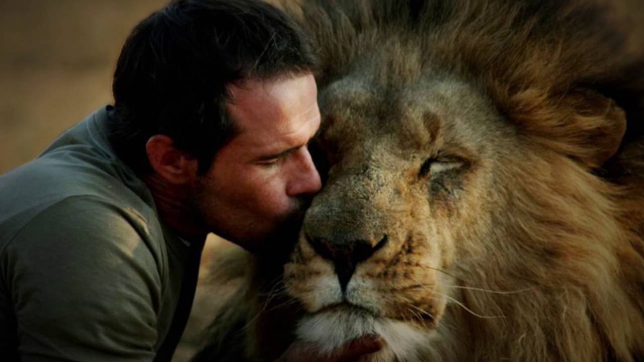 Amazing Facts of Faith — Lions