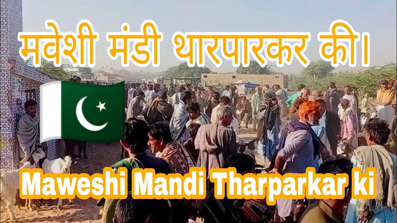 maweshi Mandi Tharparkar islamkot City.
