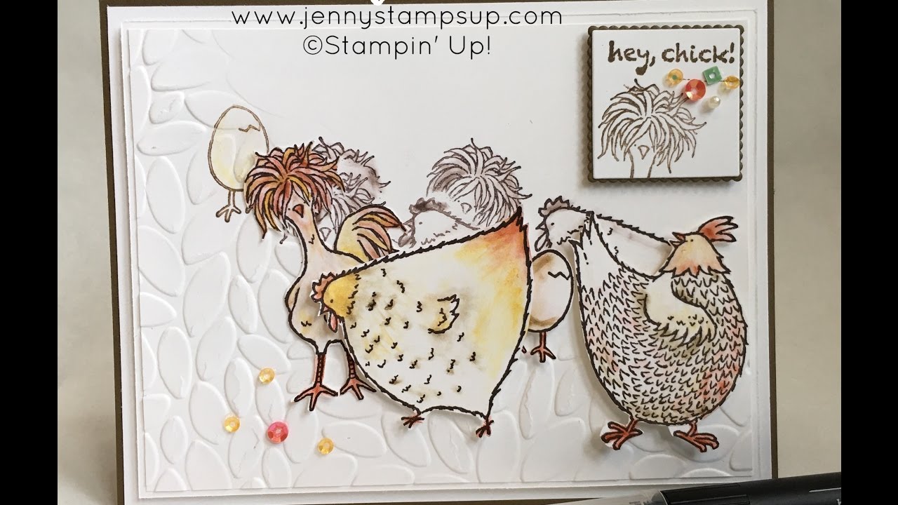 Traveling Hey Chicks with Jenny Hall