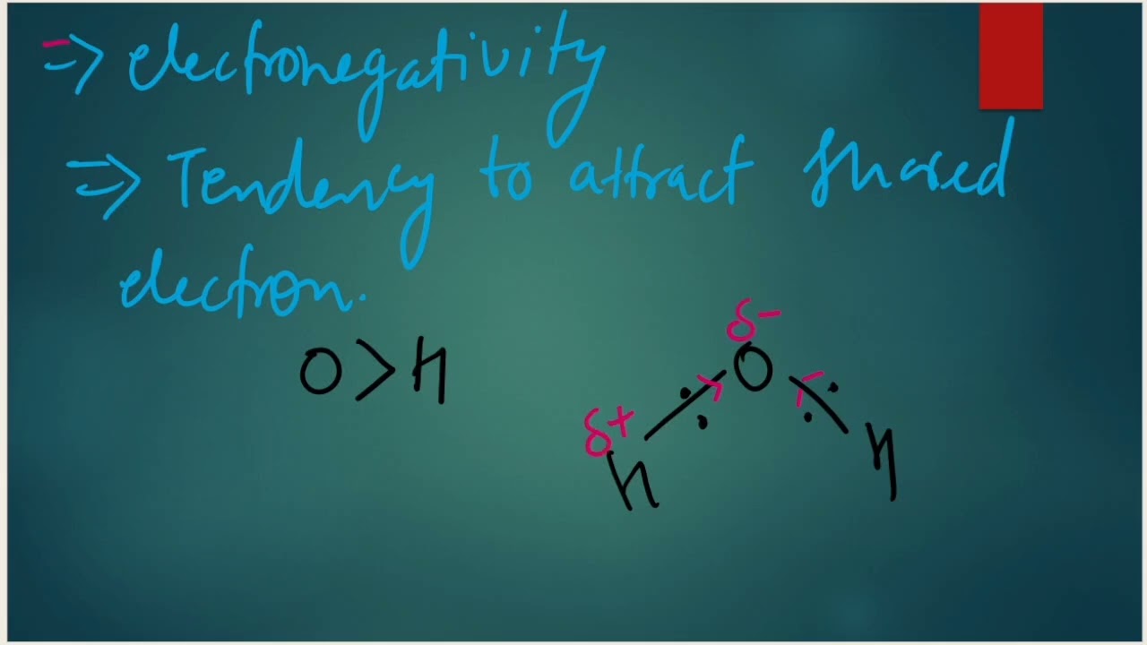 Structure of Water & It's Properties | Biochemistry Explained