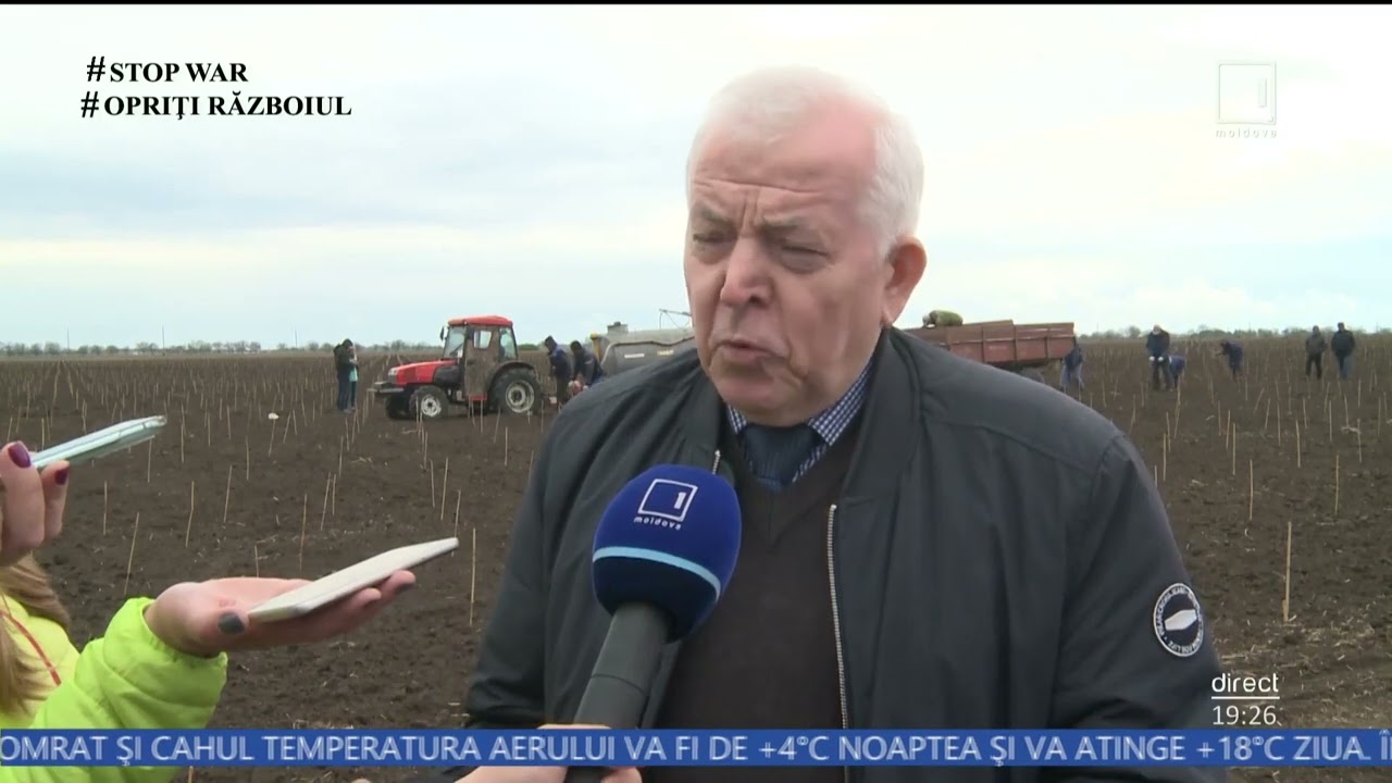În Republica Moldova este înfiinţată o plantaţie de viţă-de-vie cu calităţi biologice superioare