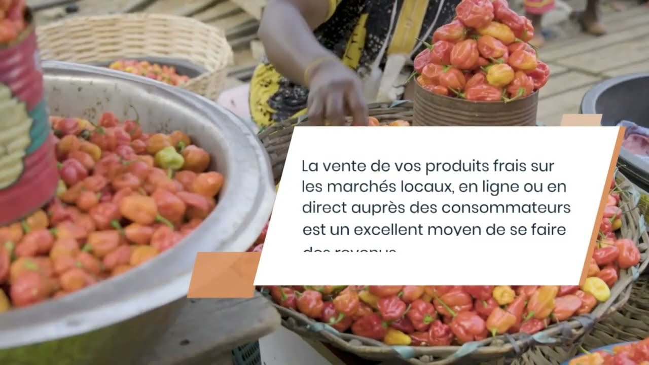 Comment cr&eacute;er une entreprise agricole rentable